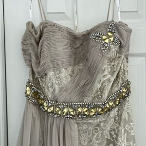 Beautiful gown, embellished, lace, gold, light, silver, grayish tone